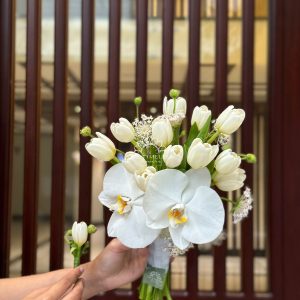 hoa cưới tulip trắng