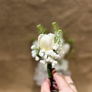 hoa cưới tulip trắng