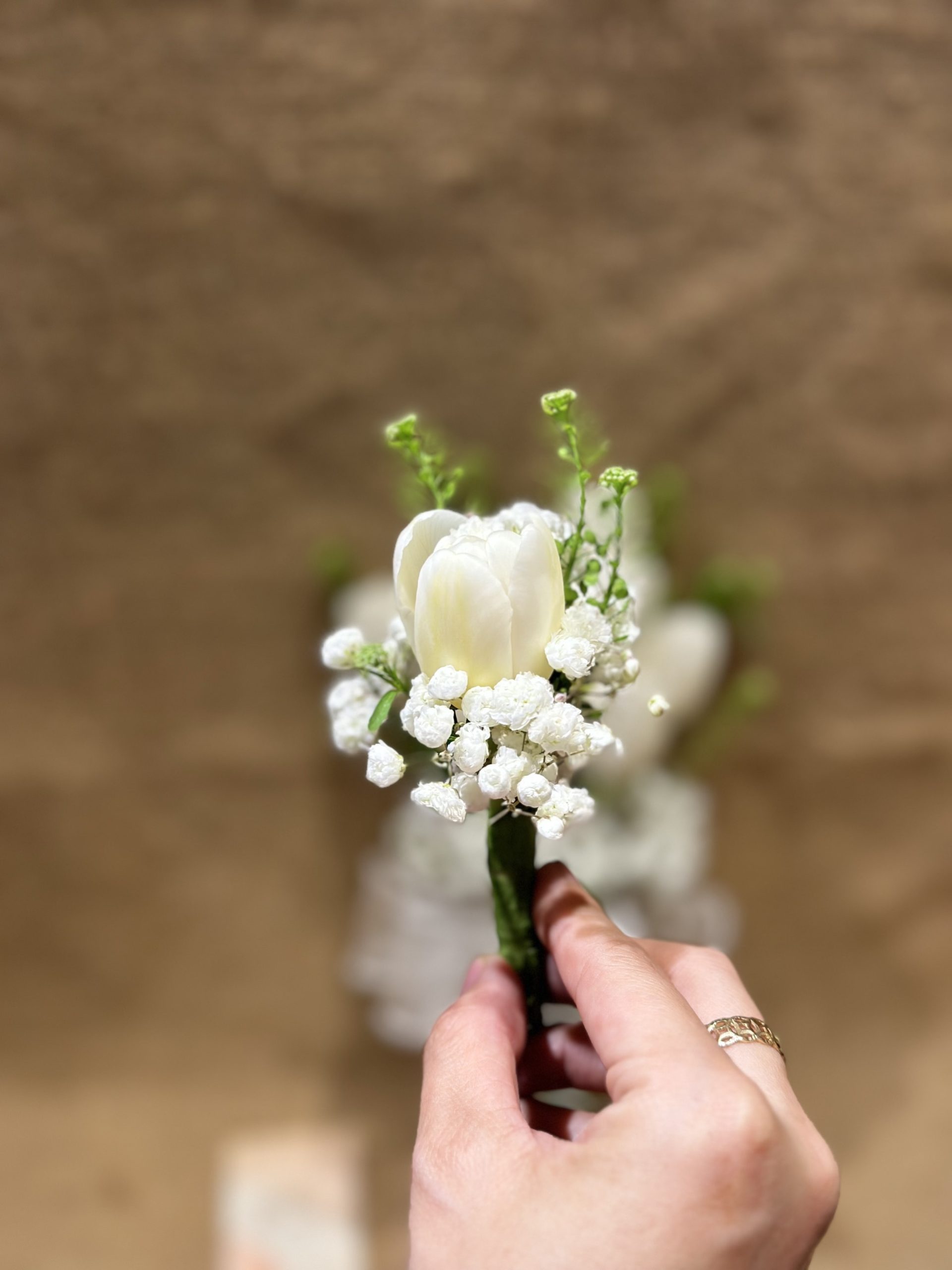 hoa cưới tulip trắng