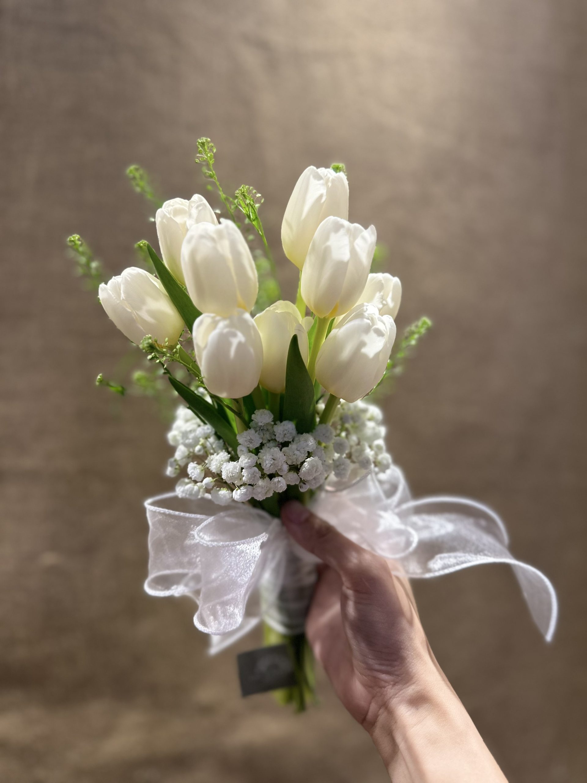 hoa cưới tulip trắng