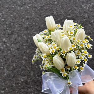 hoa cưới tulip trắng và cúc tana