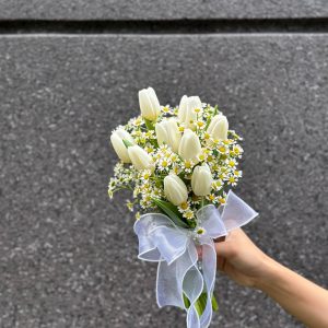 hoa cưới tulip trắng và cúc tana