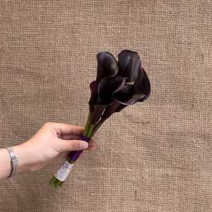 Hoa cưới calla lily đen