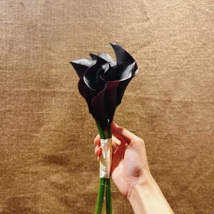Hoa cưới calla lily đen