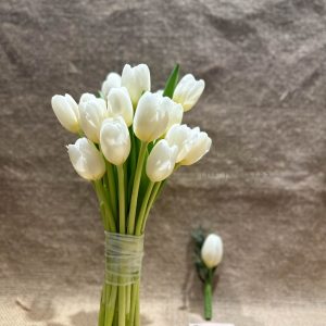 Hoa cưới tulip trắng quận 7