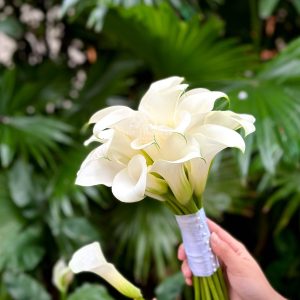 hoa cưới calla lily trắng - rum hà lan trắng