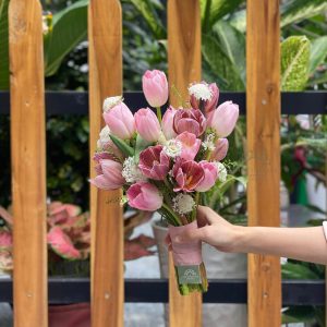 hoa tulip hồng & tulip nhuộm nâu