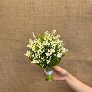 hoa cưới linh lan