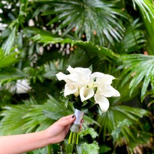 hoa cưới calla lily trắng tphcm