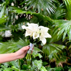 hoa cưới calla lily trắng tphcm