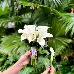 hoa cưới calla lily trắng tphcm