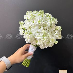 Hoa Cưới Phi Yến Trắng A113