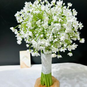hoa cưới allium trắng hà lan