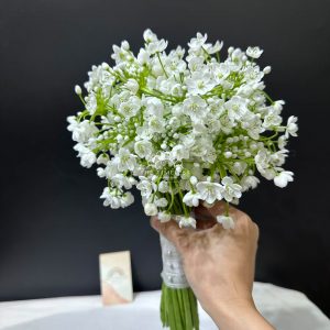 hoa cưới allium trắng hà lan