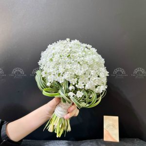 Hoa Cưới Allium Trắng Hà Lan A154