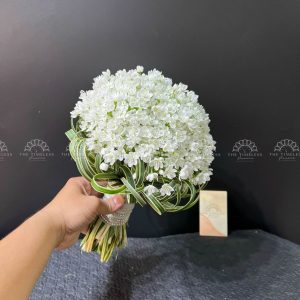 Hoa Cưới Allium Trắng Hà Lan A154
