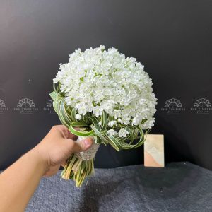 Hoa Cưới Allium Trắng Hà Lan A154