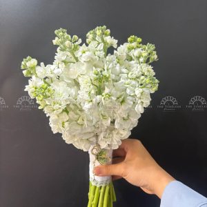 Hoa Cưới Phi Yến Trắng A161