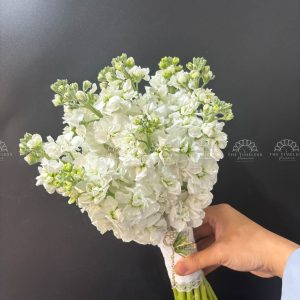Hoa Cưới Phi Yến Trắng A161