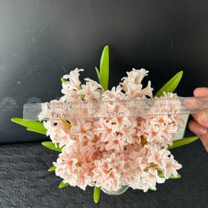 Hoa Cưới 8 Dạ Lan Hương Nhuộm Hồng A156
