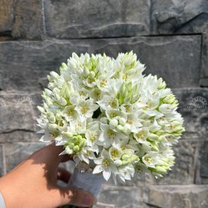 Hoa cưới Thiên Nga Trắng A155