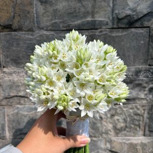 Hoa cưới Thiên Nga Trắng A155