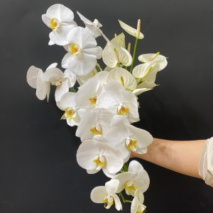 Hoa Cưới Thác Đổ Lan Hồ Điệp Trắng A186