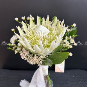 Hoa Cưới Thảo Đường Hoàng Đế - King Protea Trắng - A208