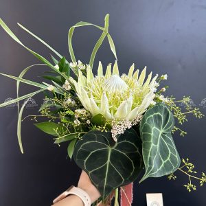 Hoa Cưới Thảo Đường Hoàng Đế - King Protea Trắng - A209