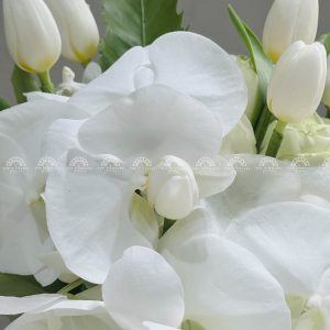 Hoa Cưới Lan Hồ Điệp mix Tulip Trắng H005