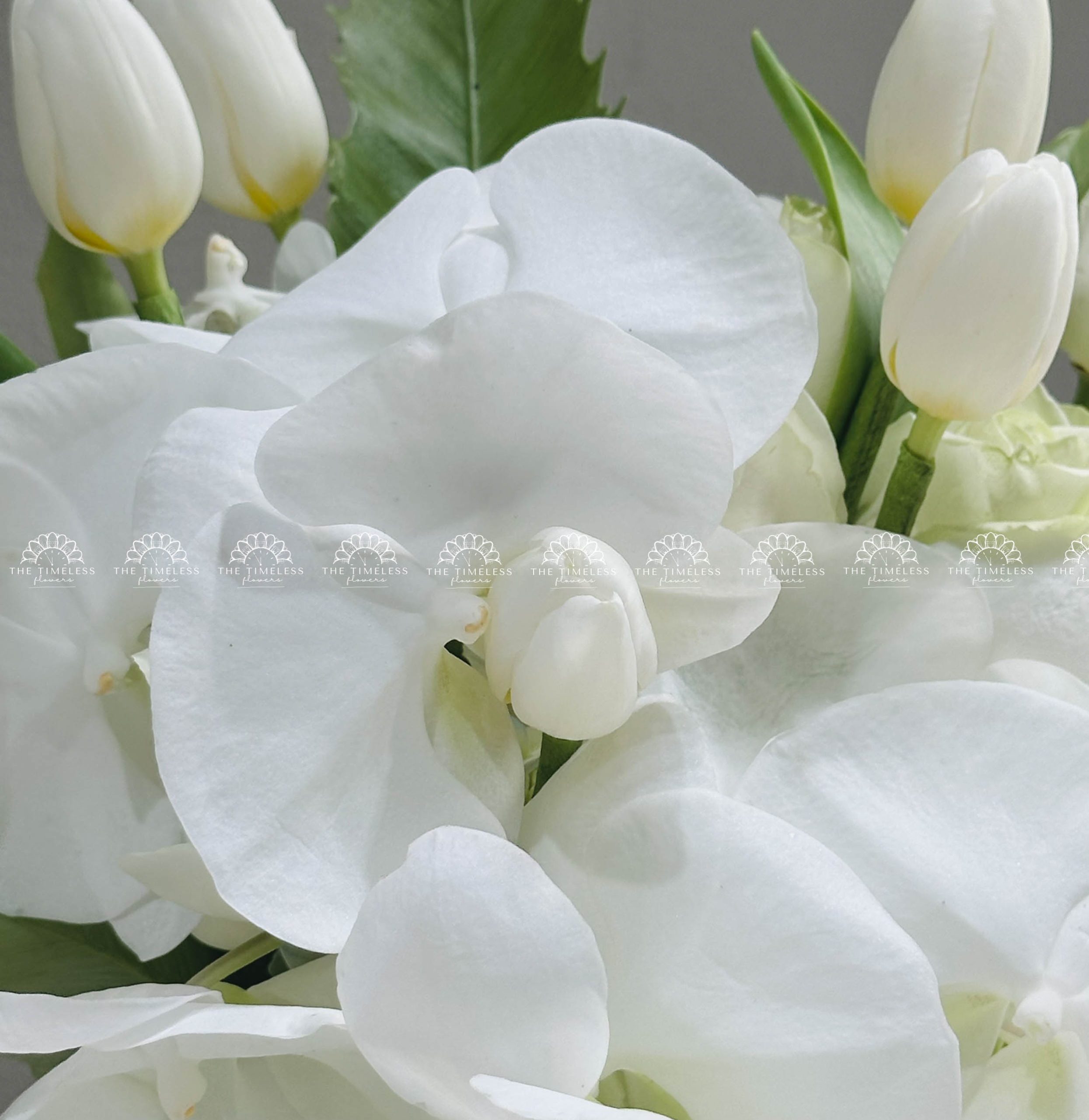Hoa Cưới Lan Hồ Điệp mix Tulip Trắng H005