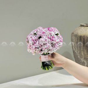 Hoa cưới Cẩm chướng Sweet William Hồng Hà Lan H011