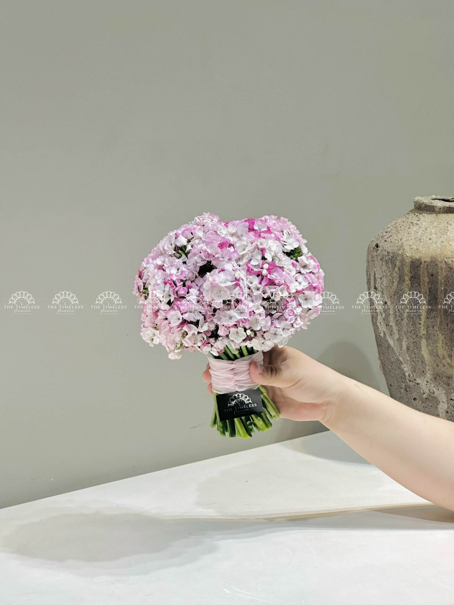 Hoa cưới Cẩm chướng Sweet William Hồng Hà Lan H011