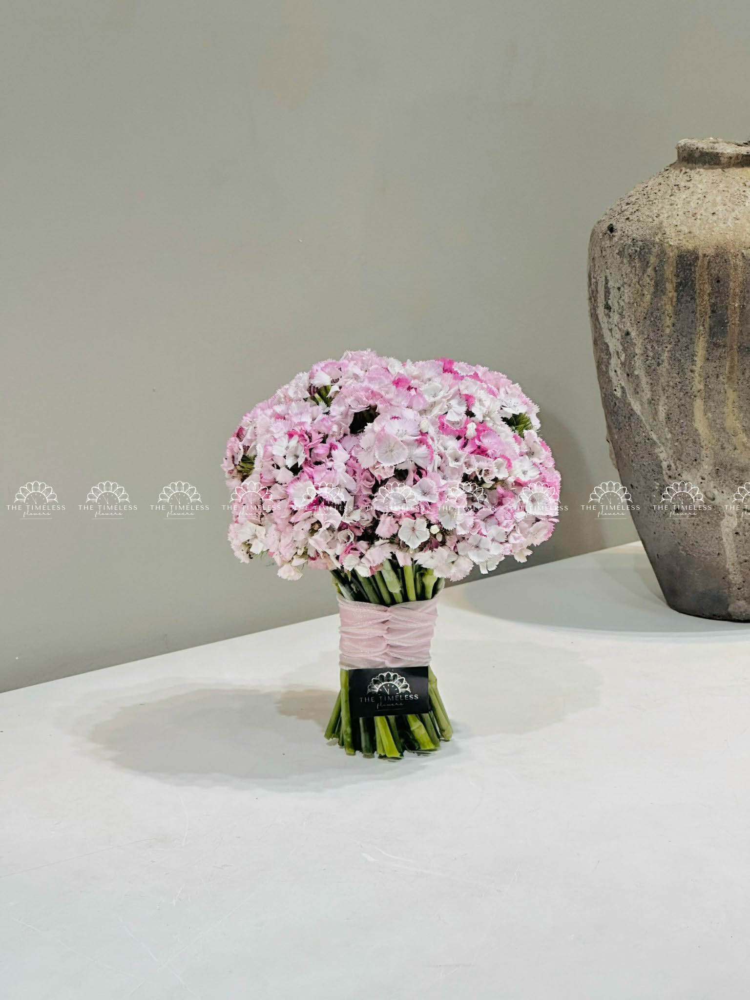 Hoa cưới Cẩm chướng Sweet William Hồng Hà Lan H011