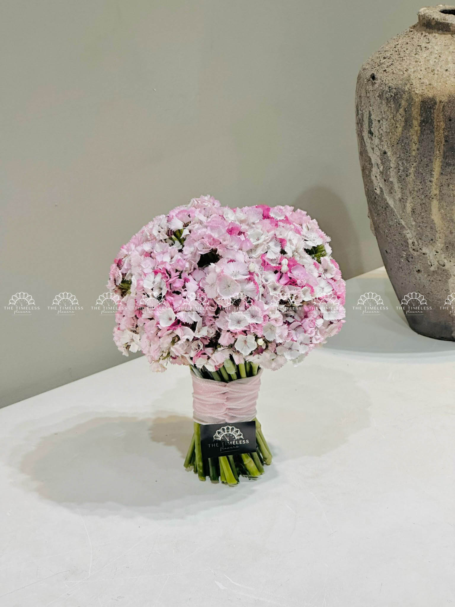 Hoa cưới Cẩm chướng Sweet William Hồng Hà Lan H011
