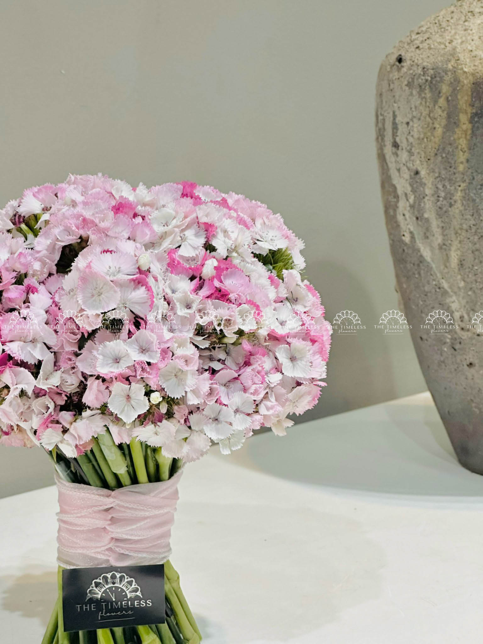Hoa cưới Cẩm chướng Sweet William Hồng Hà Lan H011