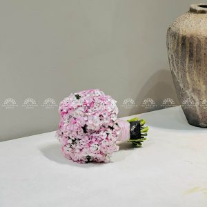 Hoa cưới Cẩm chướng Sweet William Hồng Hà Lan H011