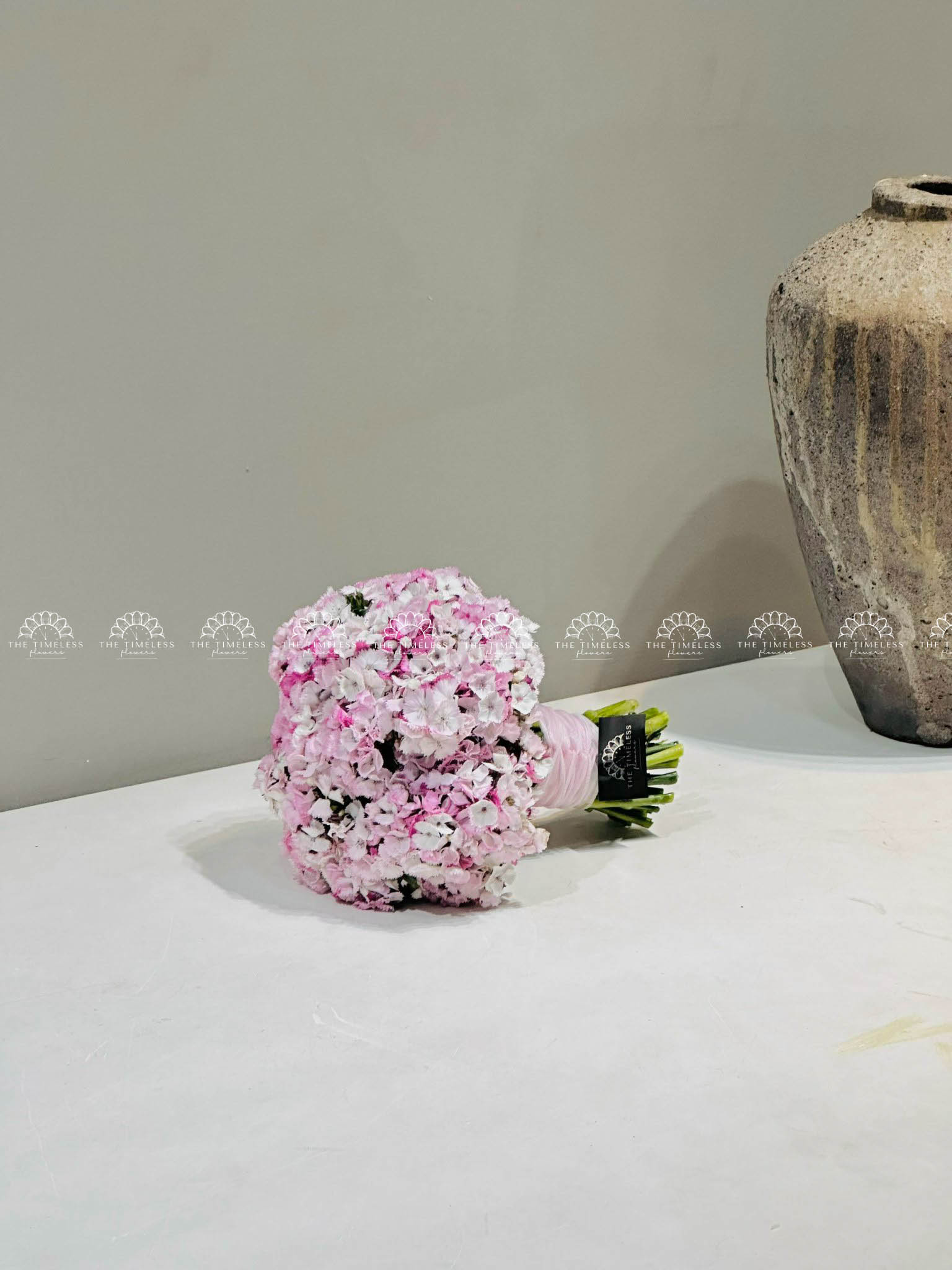 Hoa cưới Cẩm chướng Sweet William Hồng Hà Lan H011