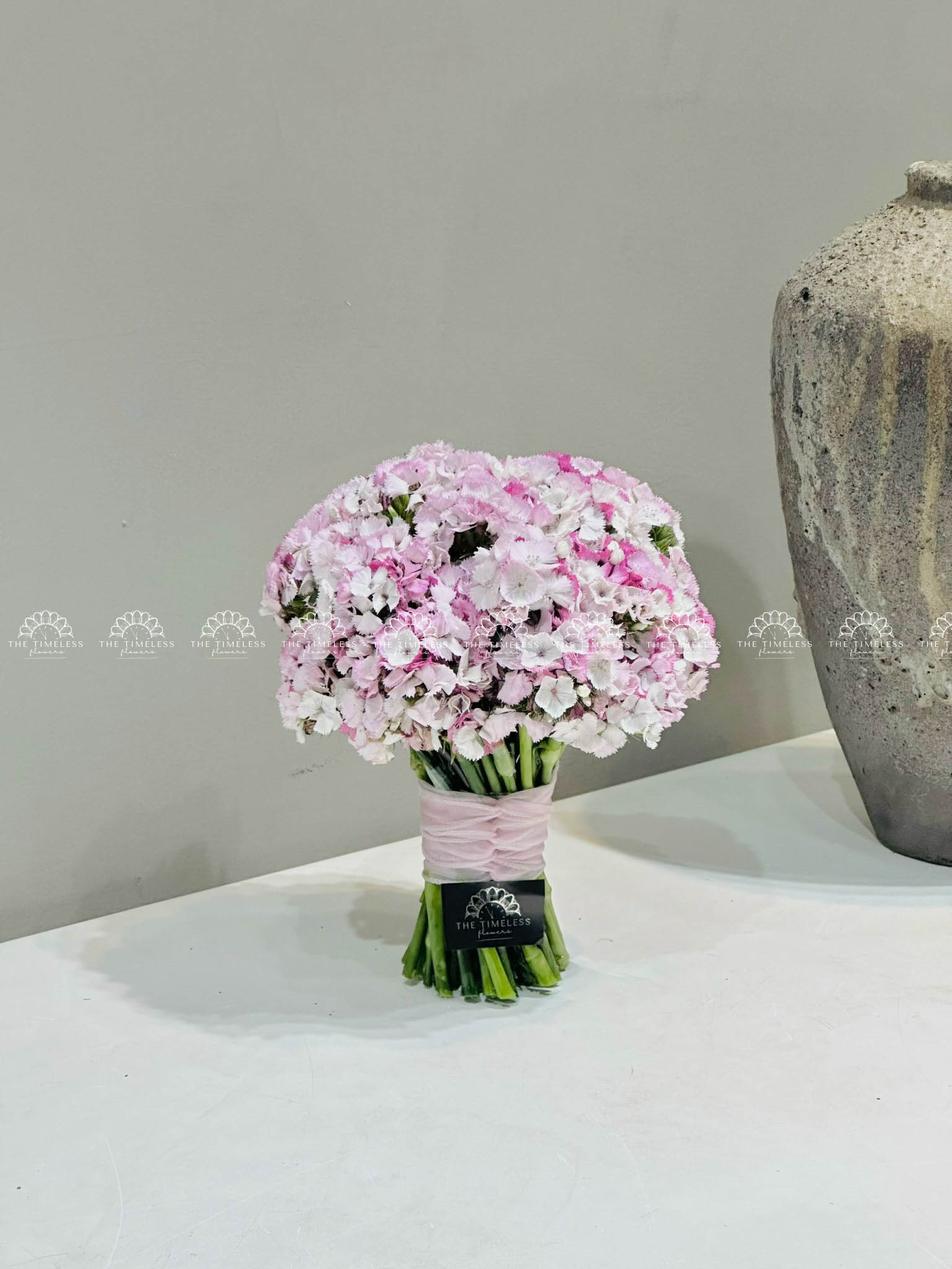 Hoa cưới Cẩm chướng Sweet William Hồng Hà Lan H011