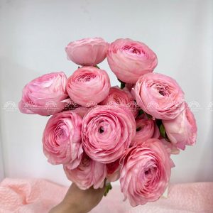 Hoa Cưới 19 Mao Lương Hồng Nhập Ecuador A309