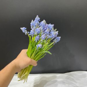 Hoa Cưới 29 cành Muscari Hà Lan - Hoa chuông xanh A322
