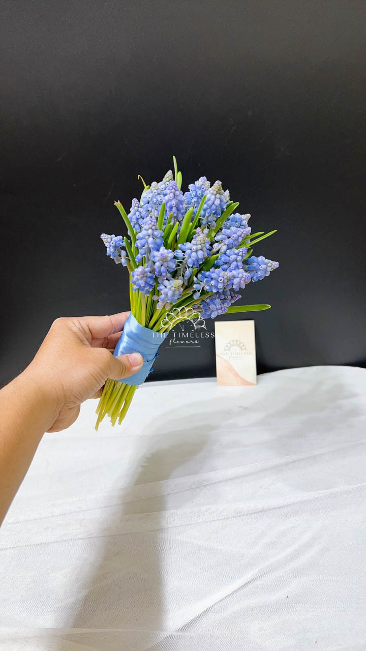 Hoa Cưới 29 cành Muscari Hà Lan - Hoa chuông xanh A322
