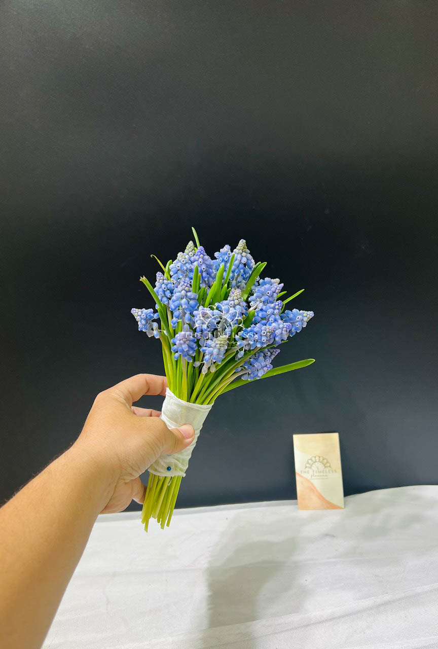 Hoa Cưới 29 cành Muscari Hà Lan - Hoa chuông xanh A322