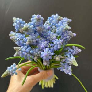 Hoa Cưới 29 cành Muscari Hà Lan - Hoa chuông xanh A321
