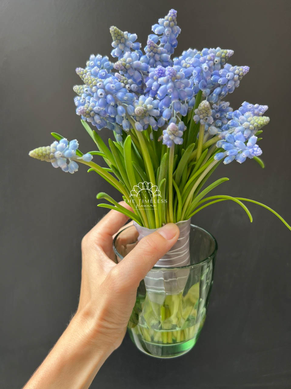 Hoa Cưới 29 cành Muscari Hà Lan - Hoa chuông xanh A321