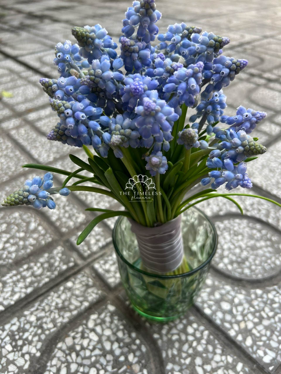 Hoa Cưới 29 cành Muscari Hà Lan - Hoa chuông xanh A321