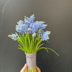 Hoa Cưới 29 cành Muscari Hà Lan - Hoa chuông xanh A321