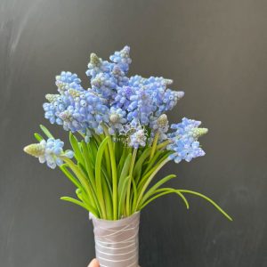 Hoa Cưới 29 cành Muscari Hà Lan - Hoa chuông xanh A321