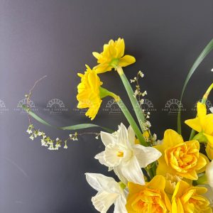 Hoa Cưới 19 Thủy Tiên Hà Lan - Narcissus A366