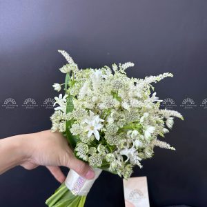 Hoa Cưới Astilbe mix Astrantia A360